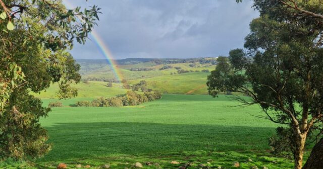 Agricultura ou desenvolvimento nos cartões neste bloco de atletas por US $ 10 milhões

