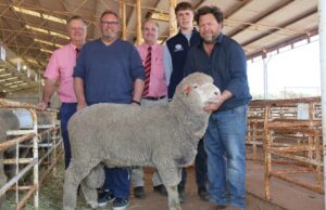 ‘Algo para todos’: quase todos os Rams vendidos na venda inaugural para um novo estúdio 'Algo para todos': quase todos os Rams vendidos na venda inaugural para um novo estúdio