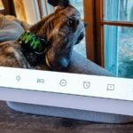 O alto -falante do Nest Audio com suas luzes ativas, sentado em uma pequena pilha de livros