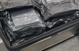 Americano supostamente pego com 20 kg de cocaína embalada em mala Uma mulher americana de 31 anos supostamente tinha US $ 6,5 milhões em cocaína embalada em sua mala quando desembarcou ontem em Sydney Aiport.