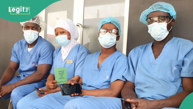 Apenas em: os médicos residentes da FCT começam a greve de aviso de sete dias, a razão surge

