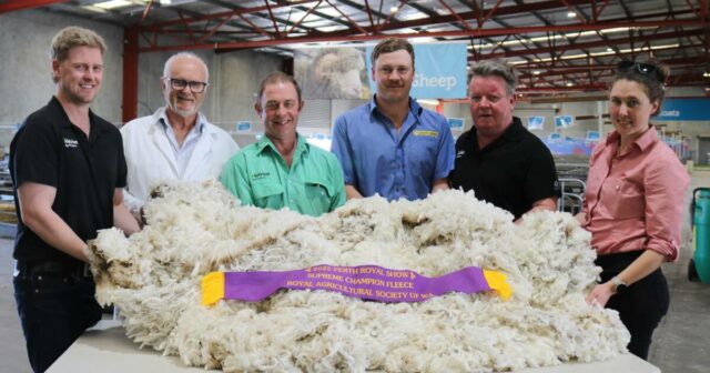 Apenas um único ponto protege a vitória da fita suprema de Perth Royal Show

