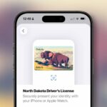 Apple Purse Id Electronic Sustain amplia para ainda mais um estado dos Estados Unidos