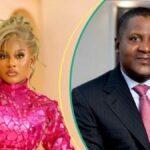 Associado de Bbnaija Phyna abre as demandas que ela fez de Dangote em meio a alegações de N1bn