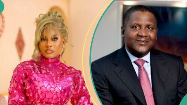 Associado de Bbnaija Phyna abre as demandas que ela fez de Dangote em meio a alegações de N1bn


