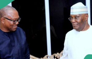 Atiku, Peter Obi bate a vitória nas eleições da APC, veja detalhes completos Atiku, Peter Obi bate a vitória nas eleições da APC, veja detalhes completos