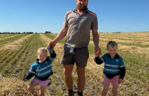 Aveia para não ser deixada de lado quando a família Angwin começa na colheita do feno Aveia para não ser deixada de lado quando a família Angwin começa na colheita do feno