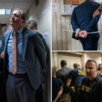 Brad Lander entre os funcionários eleitos de NY presos protestando em Manhattan Immigration Holding Facility
