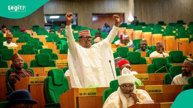 Breaking: Kwankwaso em apuros como aliado superior sugere a renúncia do NNPP

