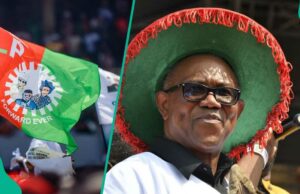 Breaking: O OBI será recebido 2027 Presidencial Bilhete? A facção LP revela Breaking: O OBI será recebido 2027 Presidencial Bilhete? A facção LP revela