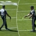 Um funcionário da NFL remove o brinquedo sexual do campo do Browns-Bengals.