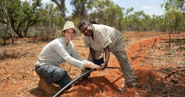 Bush Tucker uma tábua de salvação para a restauração do ecossistema e desenvolvimento da comunidade

