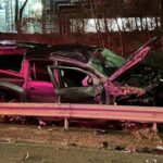 Cachorro jogado do carro da polícia em Melbourne Freeway Crash