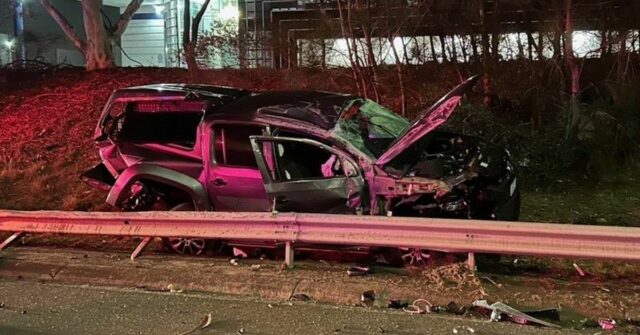 Cachorro jogado do carro da polícia em Melbourne Freeway Crash

