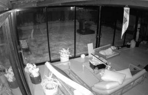 Cachorro saudou um herói depois de assustar os intrusos da casa de Melbourne Um Labrador de oito anos está sendo aclamado um herói, depois que ele assustou um grupo de possíveis invasores da casa de sua família.