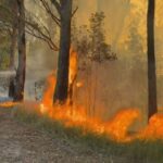 Um incêndio fora de controle está se movendo por Springbrook no interior da Costa do Ouro.