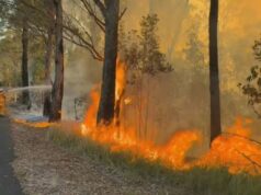 Casas ameaçadoras de incêndio fora de controle em Queensland Um incêndio fora de controle está se movendo por Springbrook no interior da Costa do Ouro.