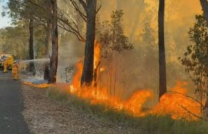 Casas ameaçadoras de incêndio fora de controle em Queensland Um incêndio fora de controle está se movendo por Springbrook no interior da Costa do Ouro.