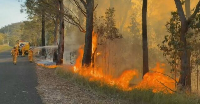 Um incêndio fora de controle está se movendo por Springbrook no interior da Costa do Ouro.