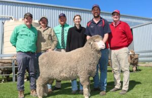 Celebrações de aniversário de diamante disparam com um estrondo para criadores de longo prazo Celebrações de aniversário de diamante disparam com um estrondo para criadores de longo prazo