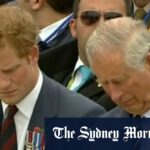 Charles e Harry Reunion