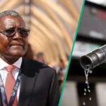 Confira a última mudança, pois Dangote anuncia um novo preço a gasolina, postos de preenchimento para ajustar