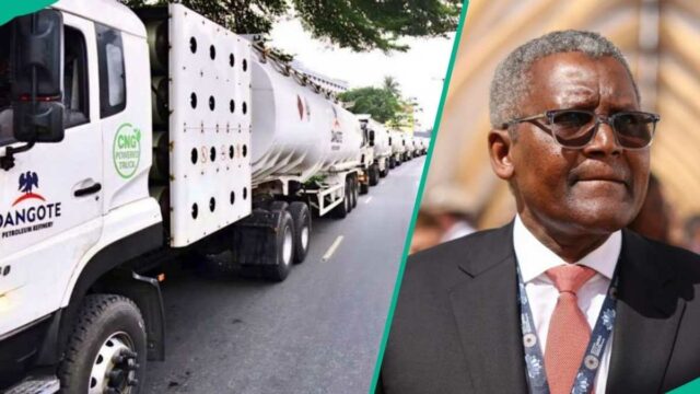 Confira novos preços a gasolina quando Dangote finalmente começa a distribuição gratuita de gasolina

