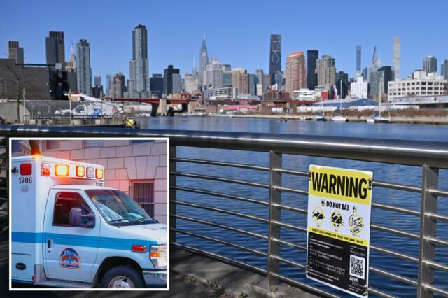 Newtown Creek. Sexta -feira, 8 de novembro de 2024 