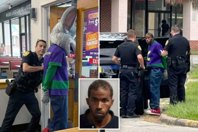 Crianças horrorizadas gritam 'Chuck e, não!' Como policiais mascote de manguito para fraude no cartão de crédito: 'Vamos deter o mouse'

