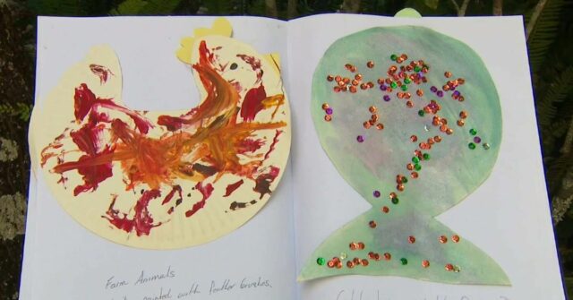 Cuidados infantis de Brisbane tenta cobrar dos pais milhares de arte para crianças
