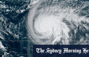 ‘Deadly sério’: o clima tropical bate o Caribe, pode atingir o sudeste dos EUA em seguida Nesta lista fornecida pela Guarda Costeira das Filipinas, os moradores e seus cães são evacuados por socorristas à medida que as inundações aumentam devido ao tufão Bualoi nas Filipinas na semana passada.