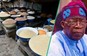 Descubra um novo custo de feijão, arroz, garri, como Tinubu ordens de preços de preços de preços Descubra um novo custo de feijão, arroz, garri, como Tinubu ordens de preços de preços de preços