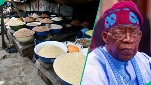 Descubra um novo custo de feijão, arroz, garri, como Tinubu ordens de preços de preços de preços

