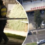 Polícia em Ivanhoe em casa após o corpo encontrado na entrada de automóveis