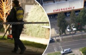 Dois homens presos após a perseguição, entrevistados em relação à facada, roubo de carros Polícia em Ivanhoe em casa após o corpo encontrado na entrada de automóveis