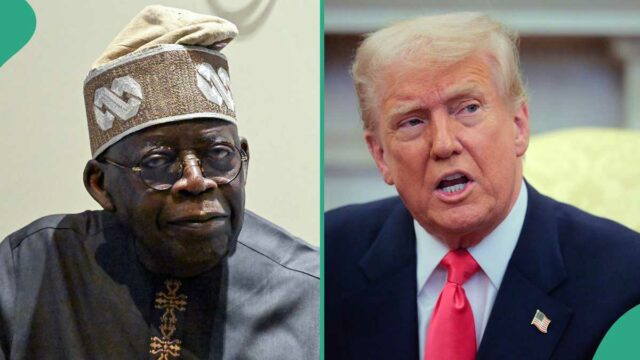 Donald Trump para impedir a oferta do segundo mandato de Tinubu? Fato surge

