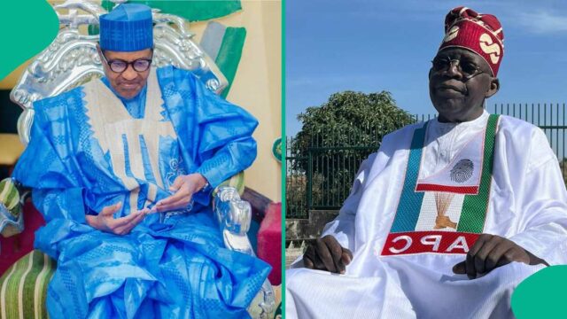 Drama como Tinubu revela uma coisa que faz de Buhari um herói político

