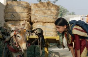 Dramatização paquistanesa ‘instituição fantasma’ obtida pelos custos do MPM antes do Toronto Best (exclusivo) Dramatização paquistanesa 'instituição fantasma' obtida pelos custos do MPM antes do Toronto Best (exclusivo)