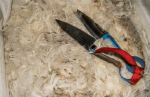 Drop em volumes AIDS LIVRO VALOR LIFICE Apesar do fortalecimento do dólar australiano Drop em volumes AIDS LIVRO VALOR LIFICE Apesar do fortalecimento do dólar australiano