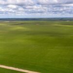 Escala a chave para a eficiência de desempenho na propriedade do leste do Sudeste