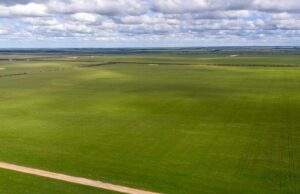 Escala a chave para a eficiência de desempenho na propriedade do leste do Sudeste Escala a chave para a eficiência de desempenho na propriedade do leste do Sudeste