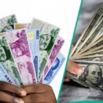 Especialistas revelam por que o Naira permanecerá estável este ano