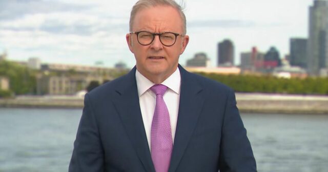 'Espere e veja': PM para de garantir a garantia de Trump

