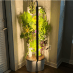plantas no jardim interno Gardyn