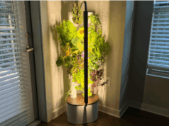 Eu expandi minhas próprias guarnições de hambúrguer e saladas em minha casa com Gardyn plantas no jardim interno Gardyn