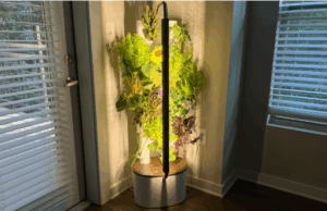 Eu expandi minhas próprias guarnições de hambúrguer e saladas em minha casa com Gardyn plantas no jardim interno Gardyn