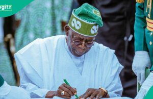 Exposto: Por que Tinubu disparou um assessor presidencial influente fora do cargo Exposto: Por que Tinubu disparou um assessor presidencial influente fora do cargo