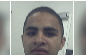 Falha na mídia: os chamados “bombeiros” presos por agentes de gelo em Washington são na verdade estrangeiros ilegais criminais Falha na mídia: os chamados "bombeiros" presos por agentes de gelo em Washington são na verdade estrangeiros ilegais criminais