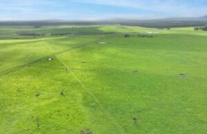 Ficando verde de inveja por esta propriedade de pastoreio principal que fica perto de Albany Ficando verde de inveja por esta propriedade de pastoreio principal que fica perto de Albany