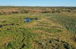 Financiamento garantido para um projeto de biodiversidade pastoral no Gascoyne Financiamento garantido para um projeto de biodiversidade pastoral no Gascoyne